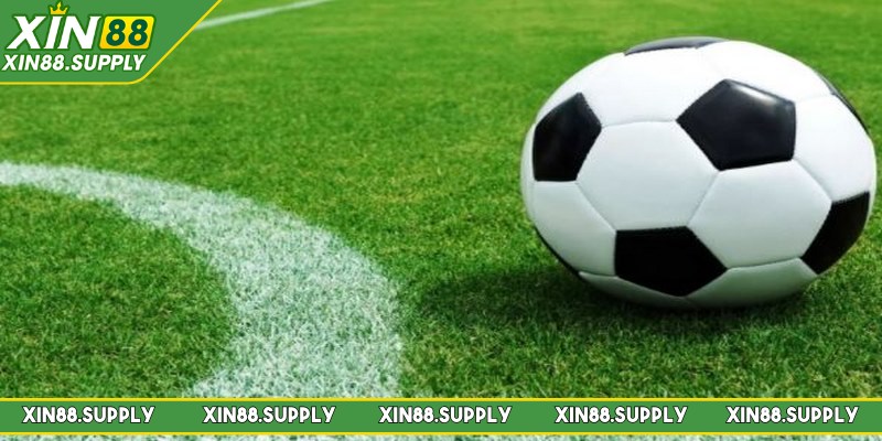 Kèo chấp đồng banh 1/4 có cách đọc đơn giản, không quá phức tạp