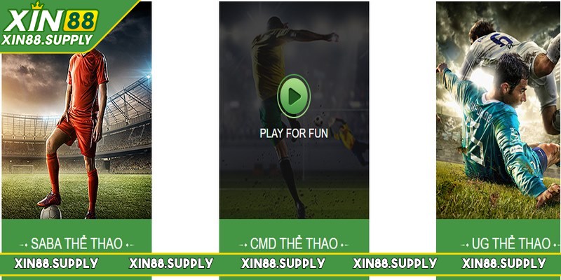 Nền tảng hợp tác cùng các nhà cung cấp mang đến nhiều loại hình cược hấp dẫn