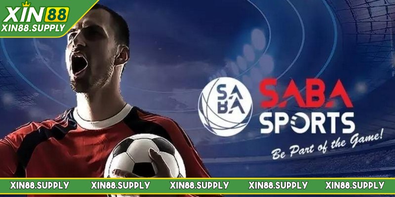 Bóng rổ trong sảnh cược với nhiều trận đấu nổi bật như NBA, ABL,...